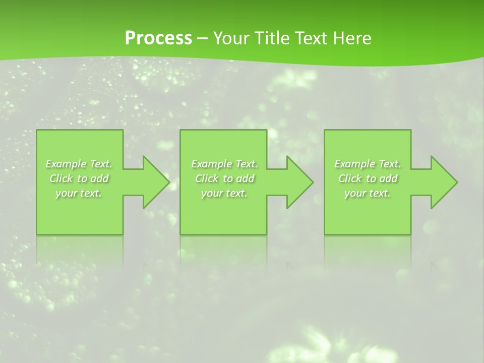 Nature Feather Rood Screen PowerPoint Template