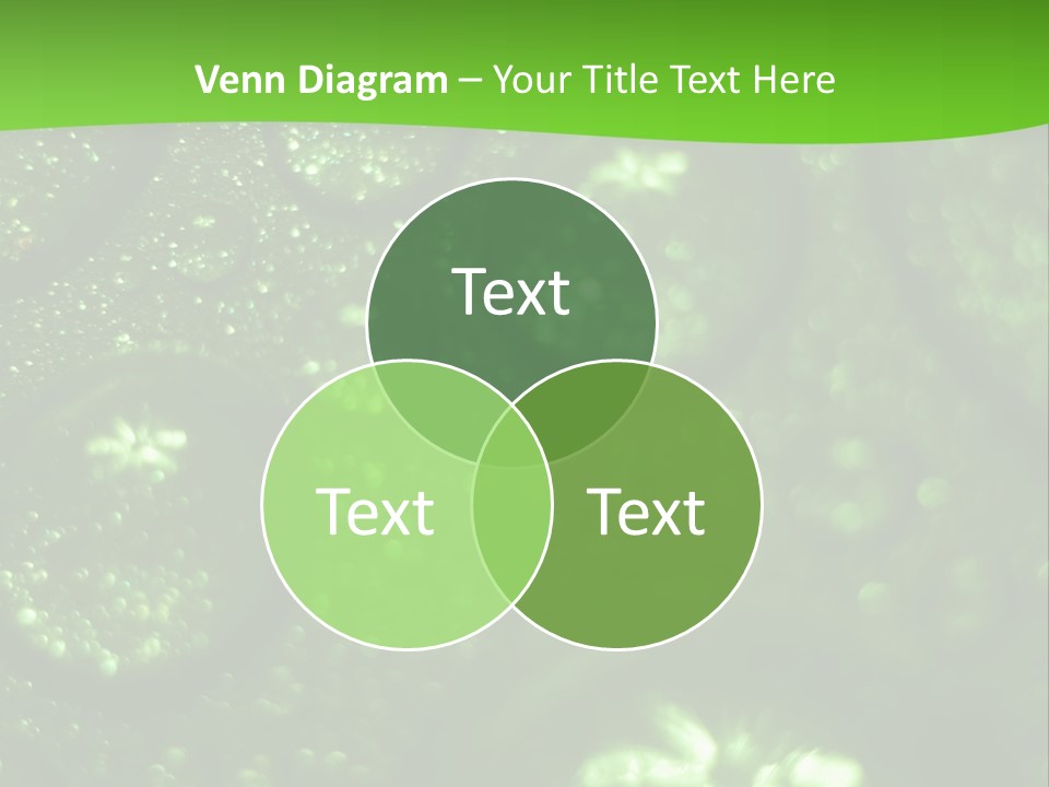 Nature Feather Rood Screen PowerPoint Template