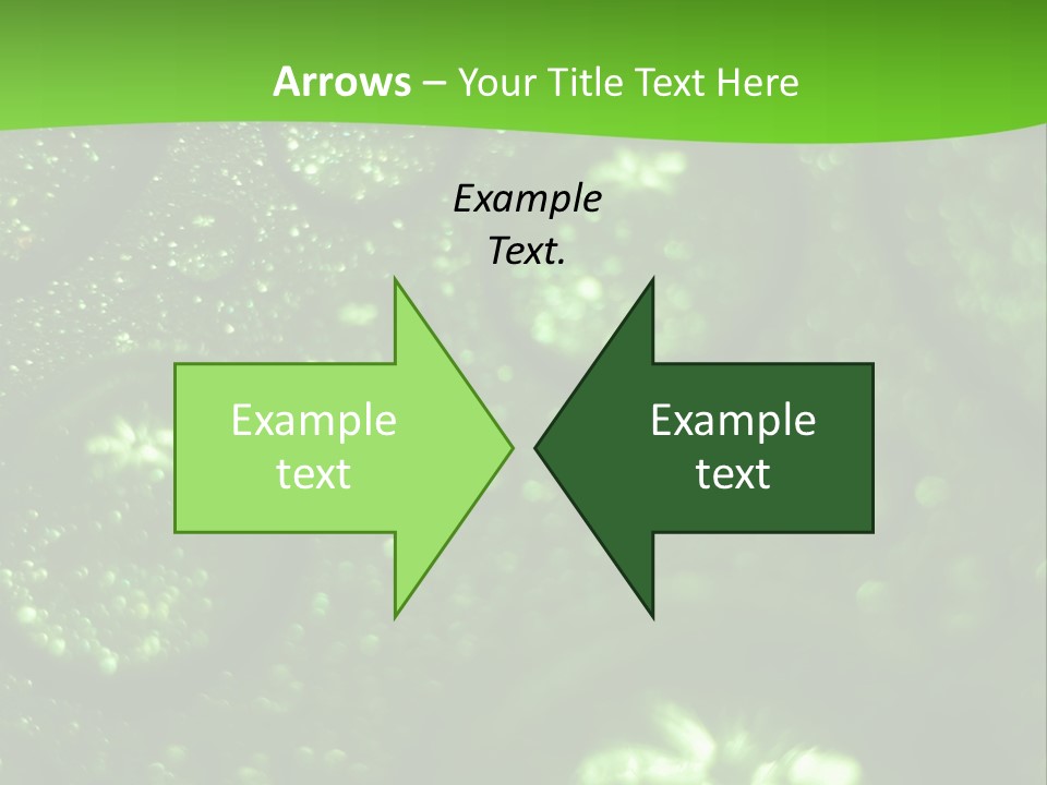 Nature Feather Rood Screen PowerPoint Template