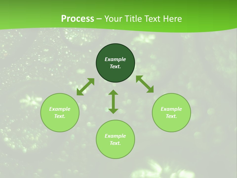 Nature Feather Rood Screen PowerPoint Template