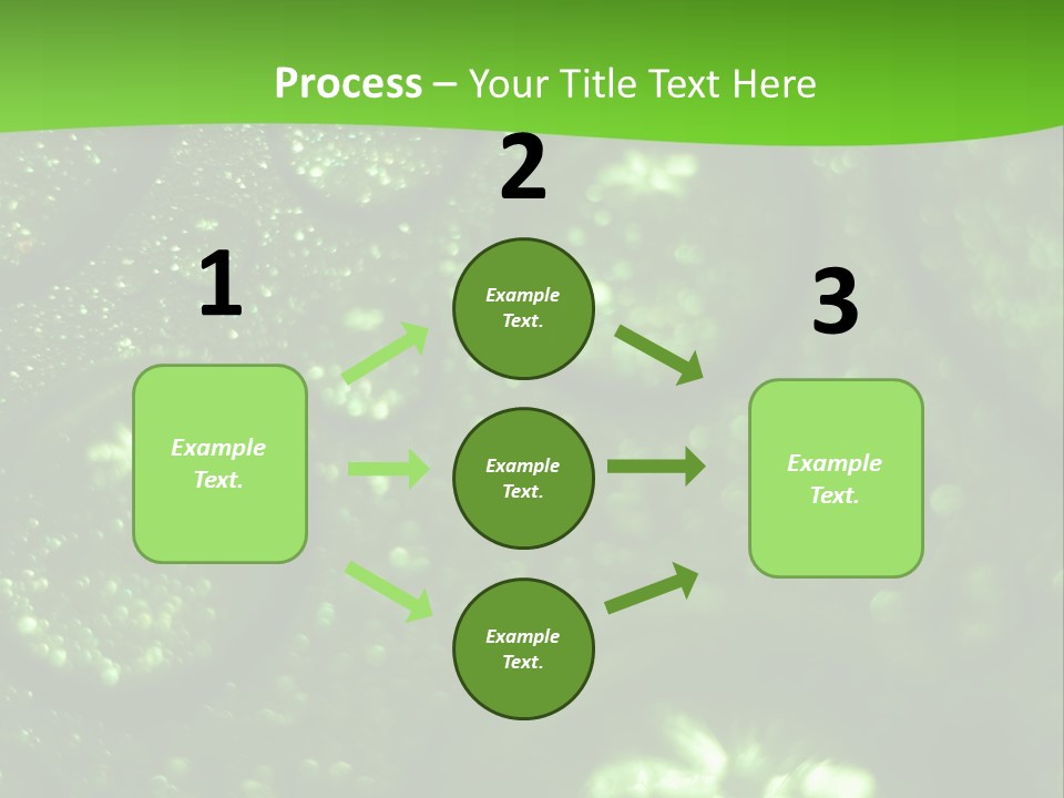 Nature Feather Rood Screen PowerPoint Template