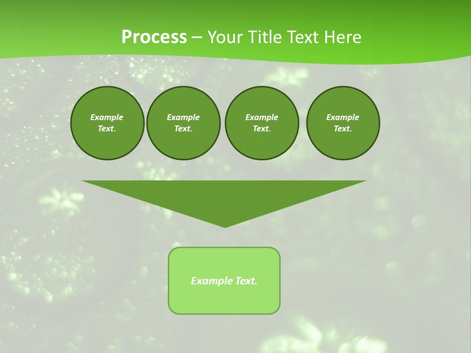 Nature Feather Rood Screen PowerPoint Template