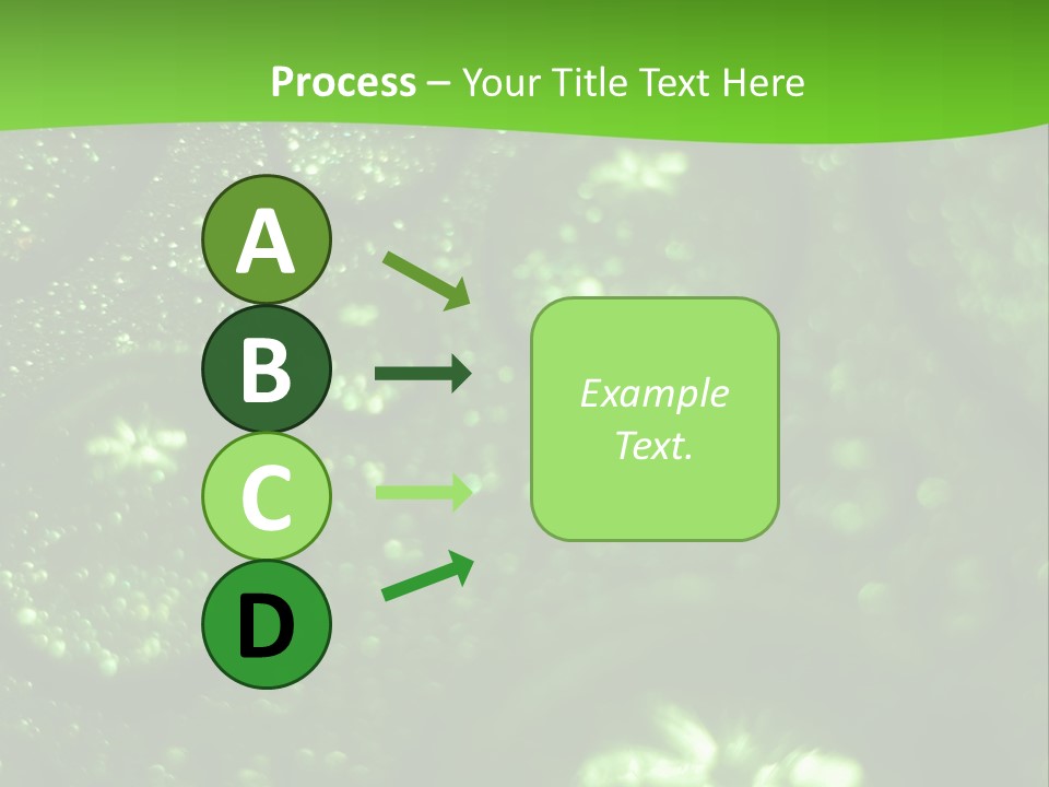 Nature Feather Rood Screen PowerPoint Template