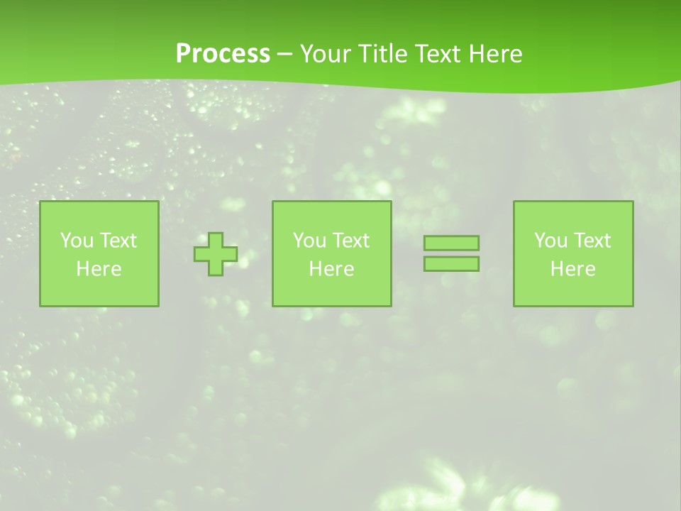 Nature Feather Rood Screen PowerPoint Template