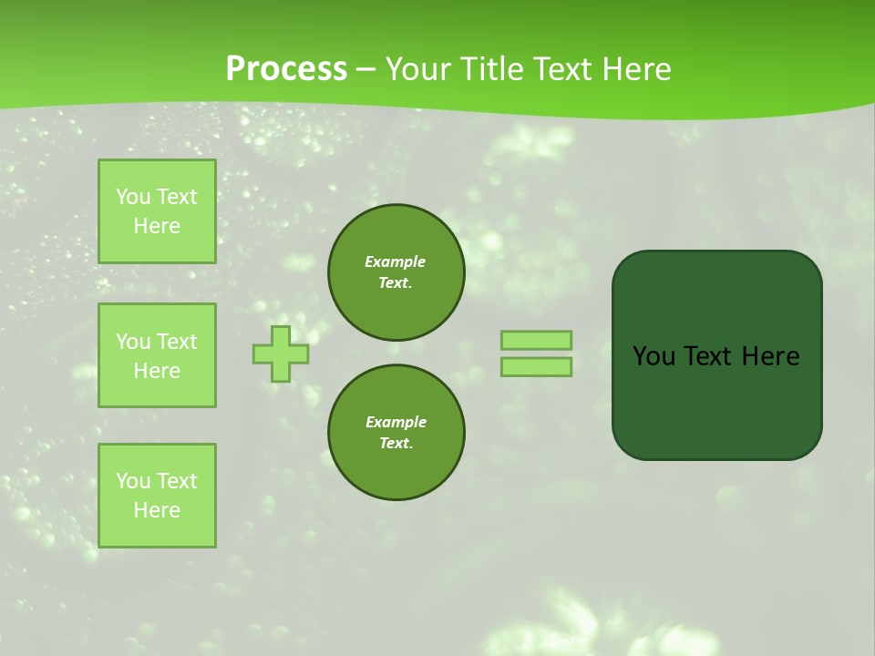 Nature Feather Rood Screen PowerPoint Template