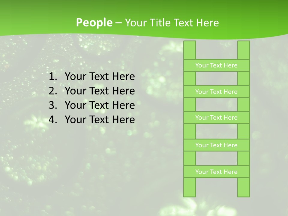 Nature Feather Rood Screen PowerPoint Template