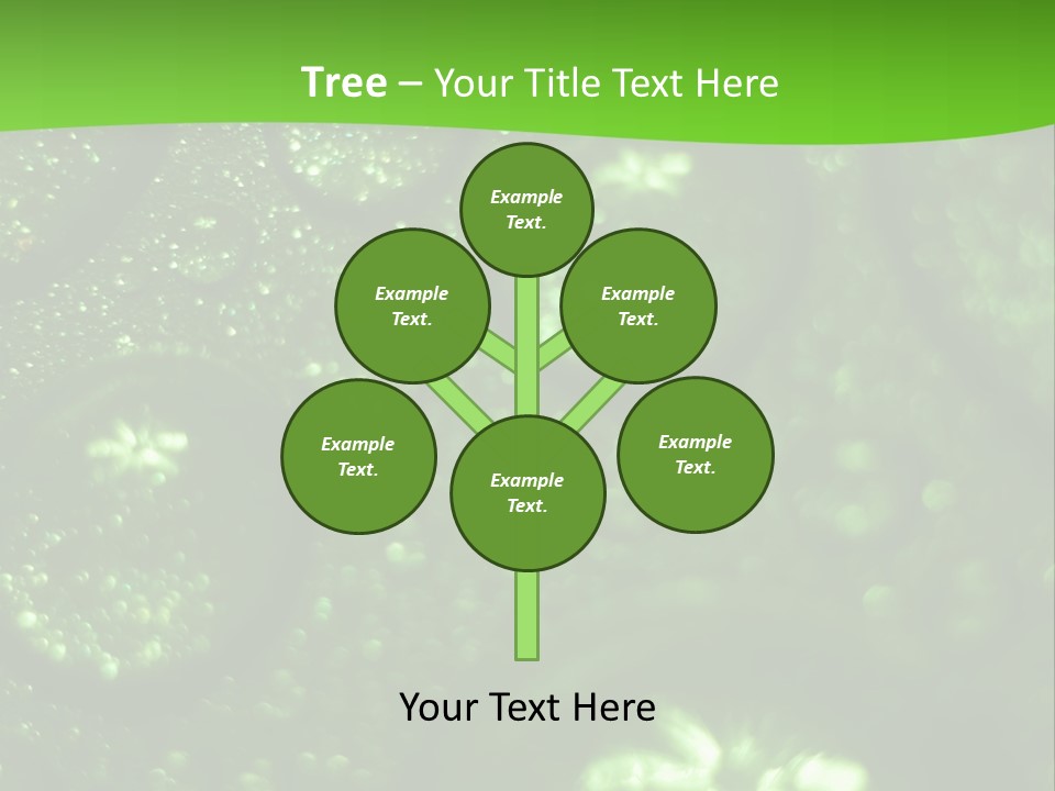 Nature Feather Rood Screen PowerPoint Template