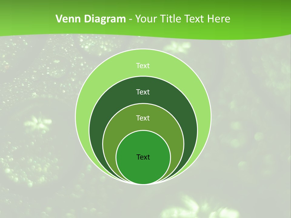 Nature Feather Rood Screen PowerPoint Template