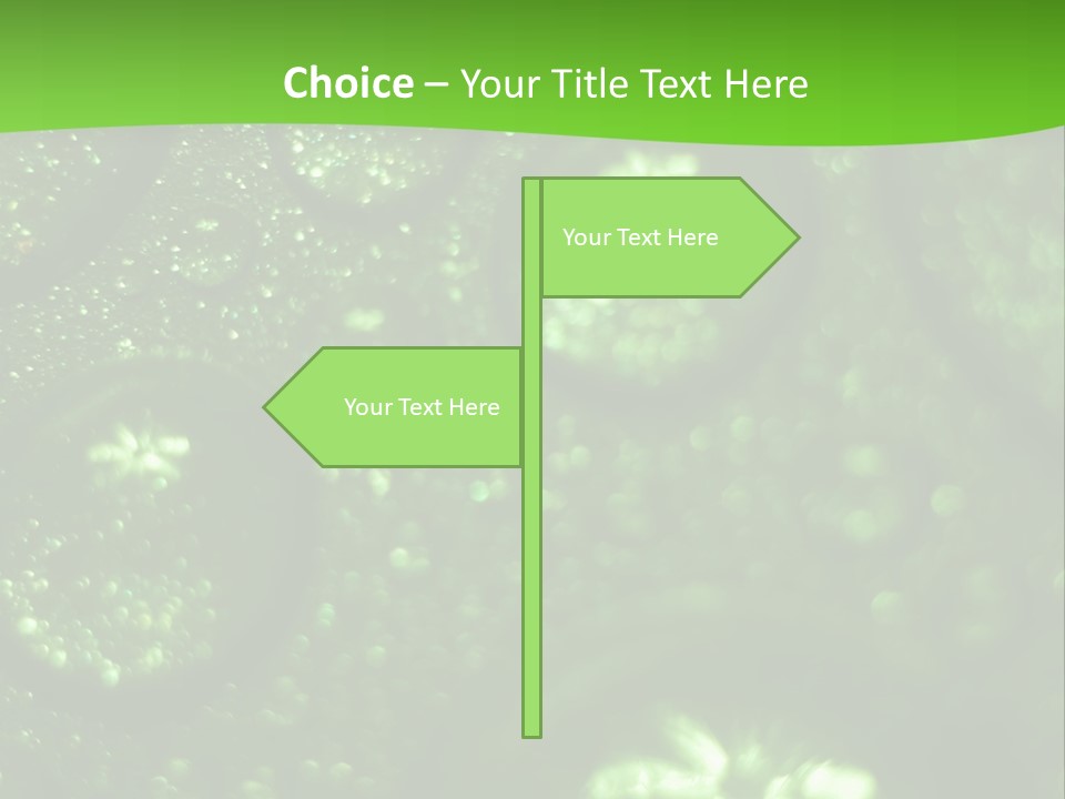 Nature Feather Rood Screen PowerPoint Template