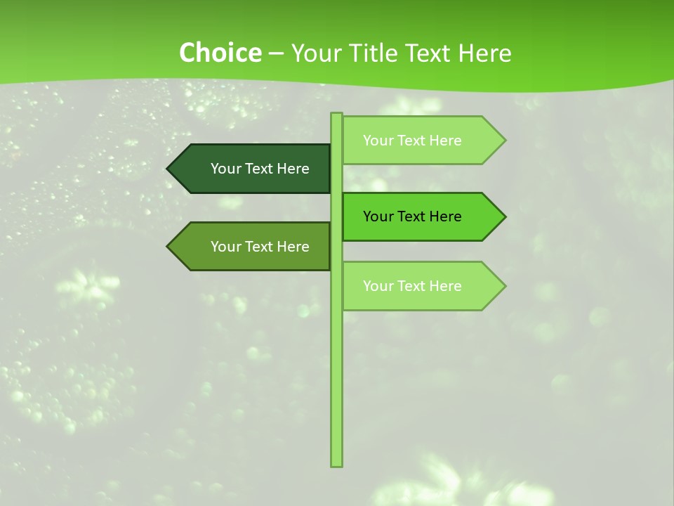 Nature Feather Rood Screen PowerPoint Template