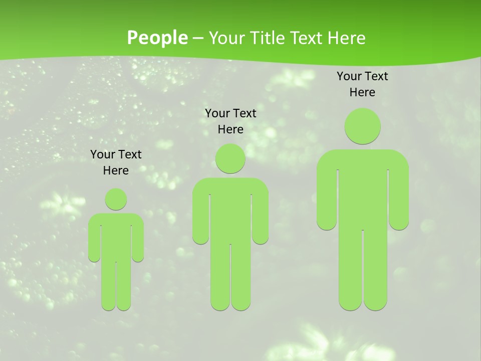 Nature Feather Rood Screen PowerPoint Template