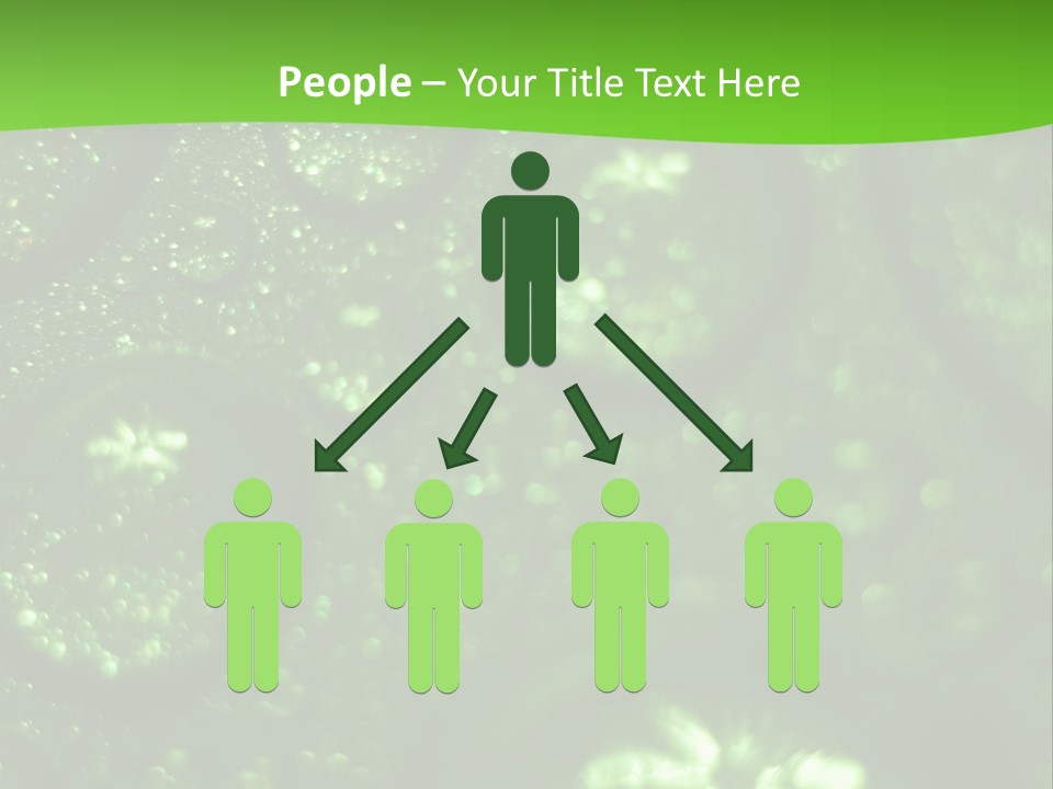 Nature Feather Rood Screen PowerPoint Template