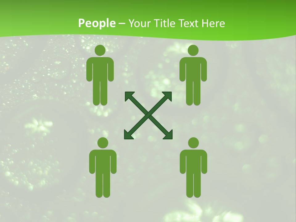 Nature Feather Rood Screen PowerPoint Template