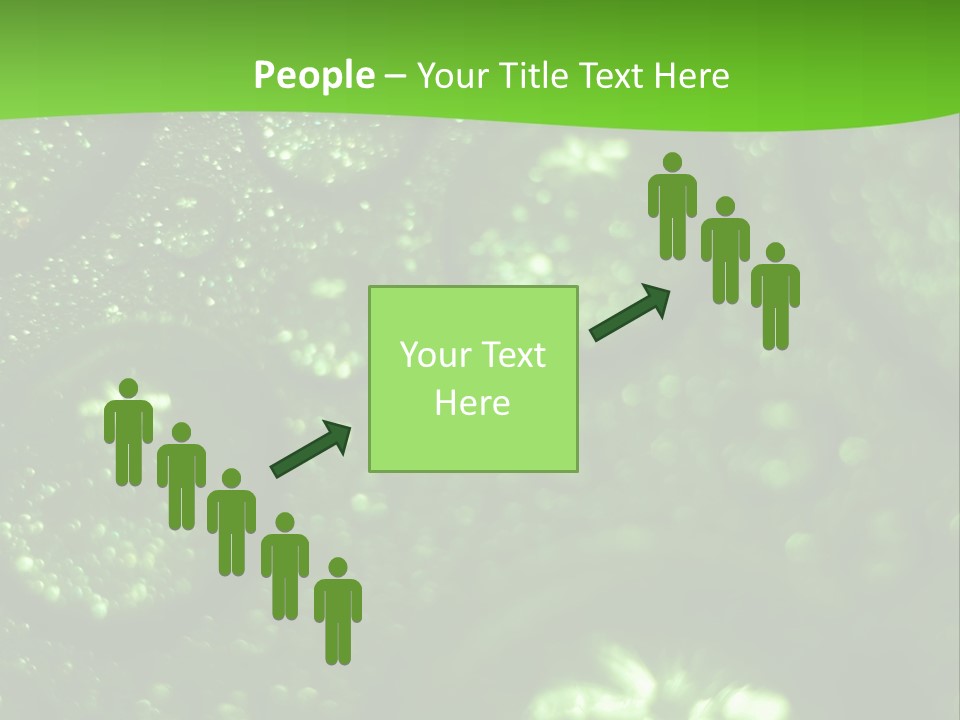 Nature Feather Rood Screen PowerPoint Template