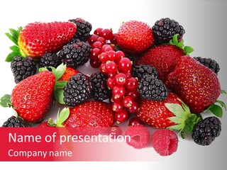 Blueberry Organic Blackberry PowerPoint Template
