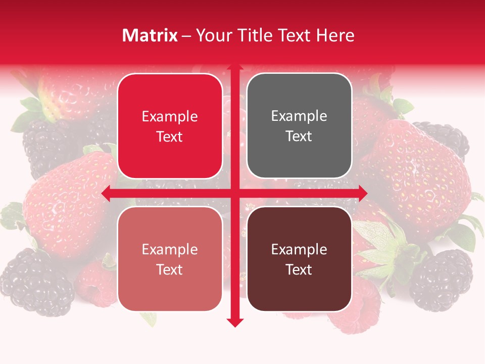 Blueberry Organic Blackberry PowerPoint Template