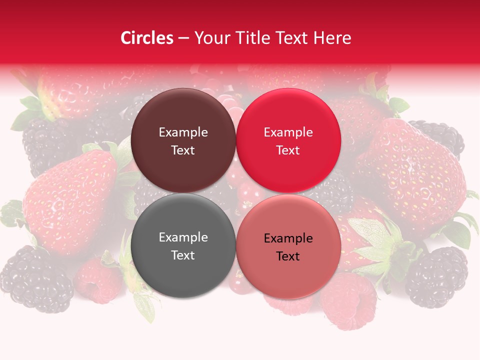 Blueberry Organic Blackberry PowerPoint Template