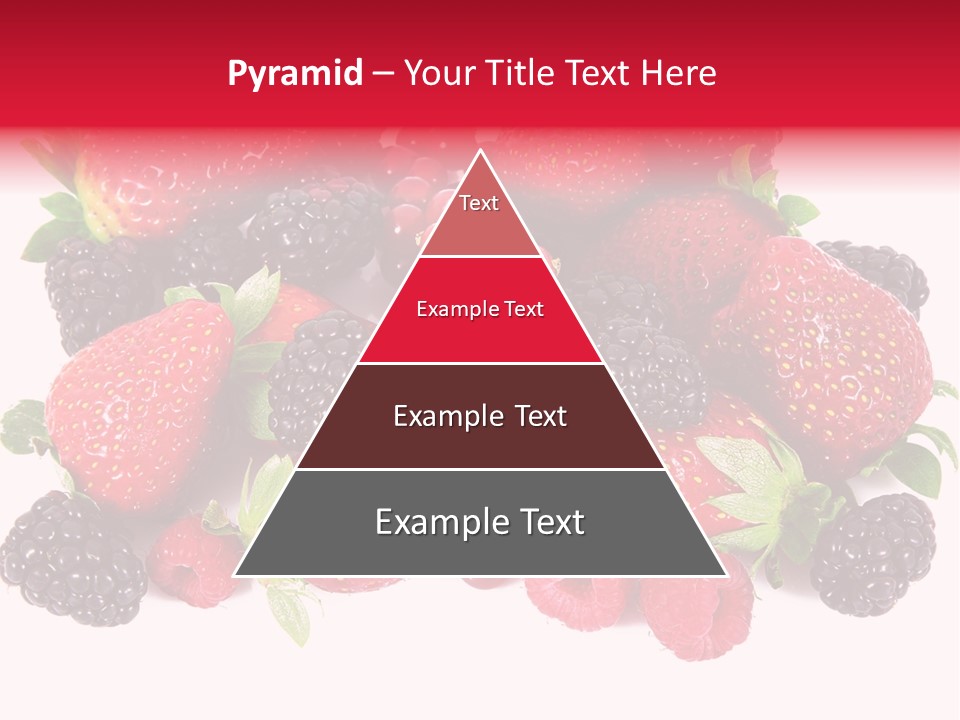 Blueberry Organic Blackberry PowerPoint Template