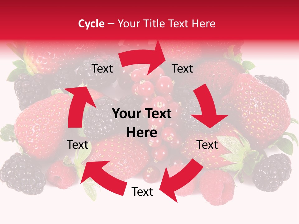 Blueberry Organic Blackberry PowerPoint Template