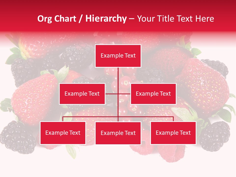 Blueberry Organic Blackberry PowerPoint Template