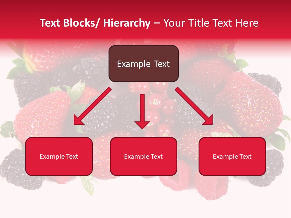Blueberry Organic Blackberry PowerPoint Template