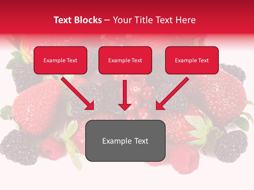 Blueberry Organic Blackberry PowerPoint Template
