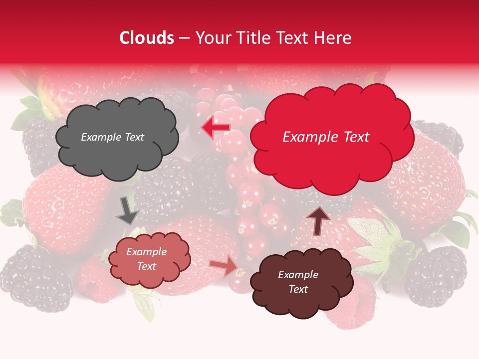 Blueberry Organic Blackberry PowerPoint Template