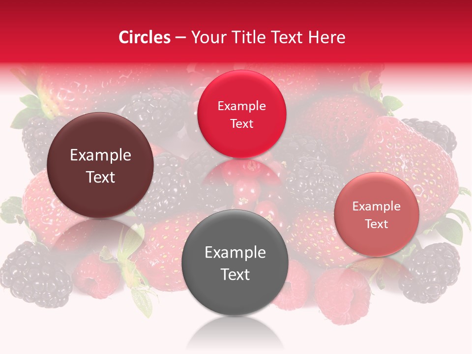 Blueberry Organic Blackberry PowerPoint Template