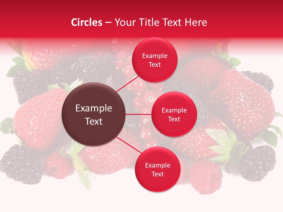 Blueberry Organic Blackberry PowerPoint Template