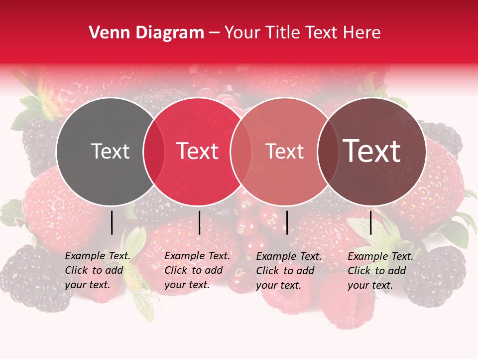 Blueberry Organic Blackberry PowerPoint Template