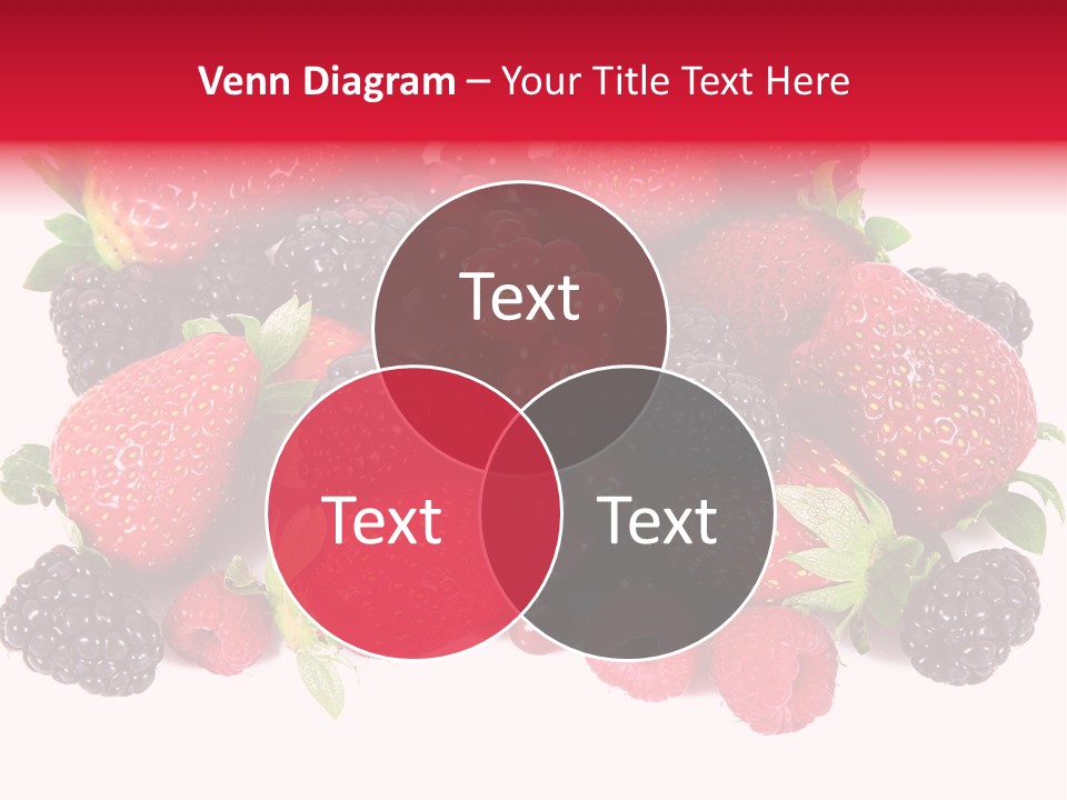 Blueberry Organic Blackberry PowerPoint Template