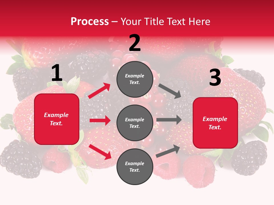 Blueberry Organic Blackberry PowerPoint Template
