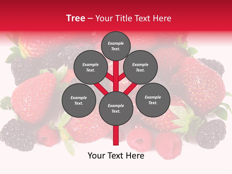 Blueberry Organic Blackberry PowerPoint Template