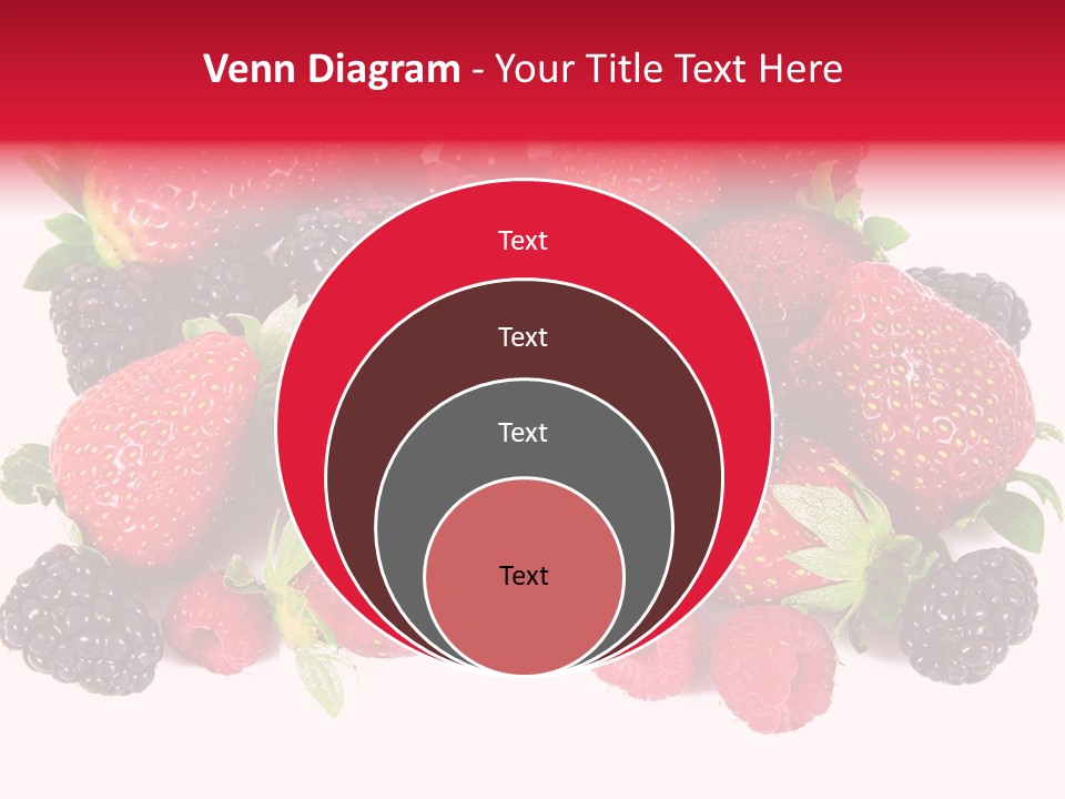 Blueberry Organic Blackberry PowerPoint Template