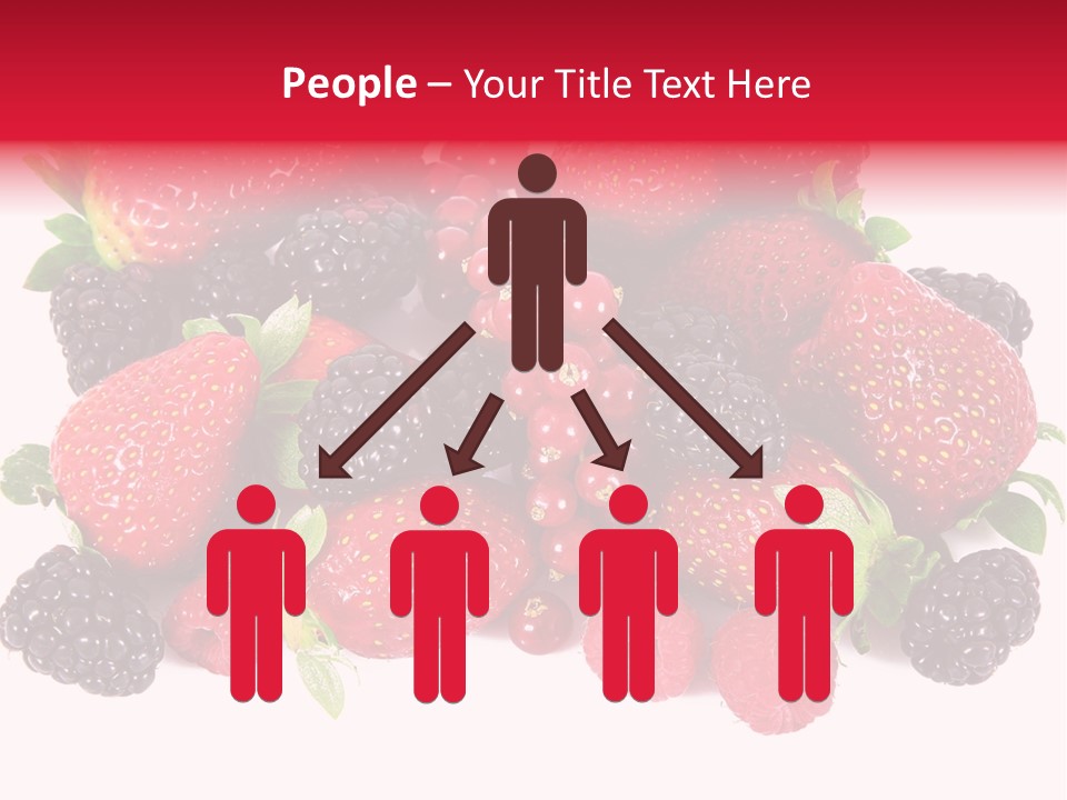 Blueberry Organic Blackberry PowerPoint Template