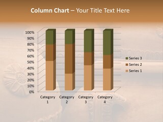 Sienna Material Terra Cotta PowerPoint Template