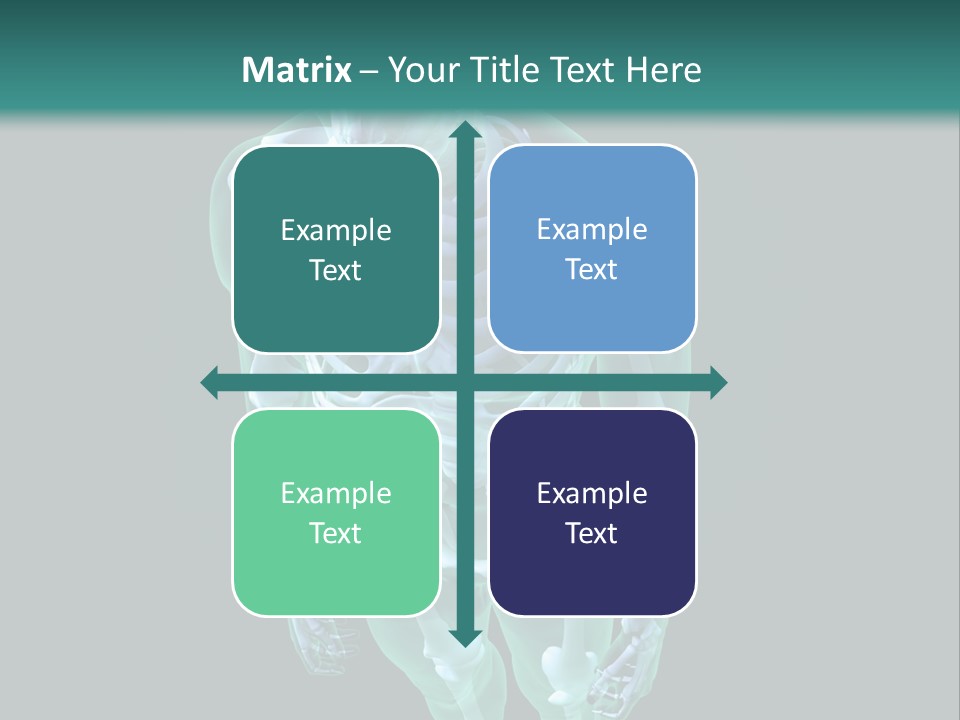 Education Graphic Medicine PowerPoint Template