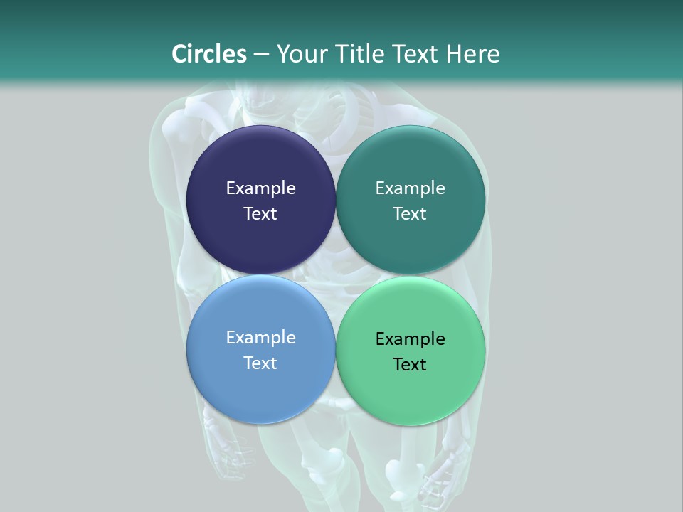 Education Graphic Medicine PowerPoint Template