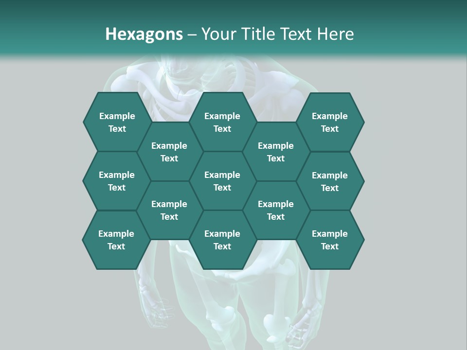 Education Graphic Medicine PowerPoint Template