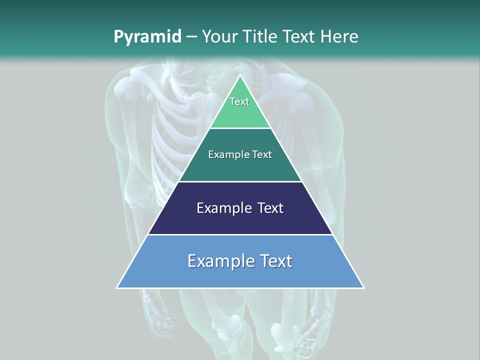 Education Graphic Medicine PowerPoint Template