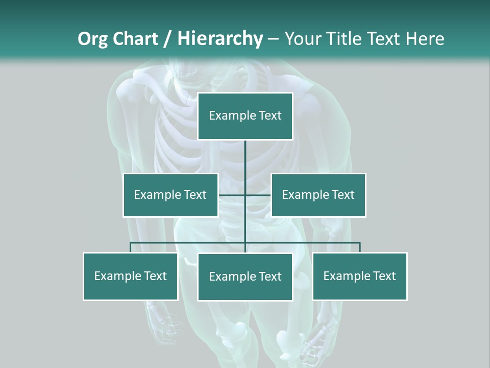 Education Graphic Medicine PowerPoint Template