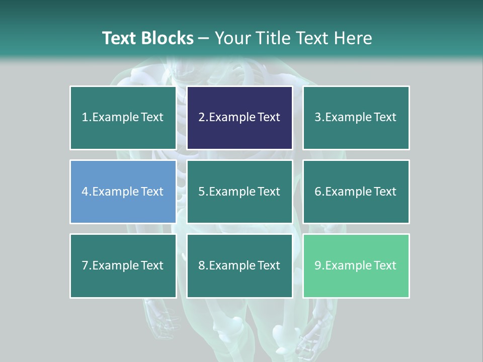 Education Graphic Medicine PowerPoint Template