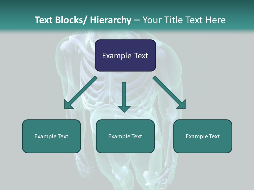 Education Graphic Medicine PowerPoint Template