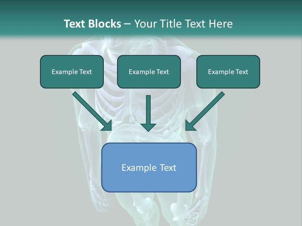 Education Graphic Medicine PowerPoint Template