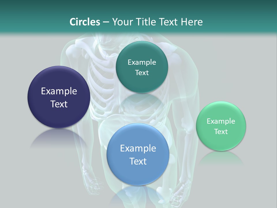 Education Graphic Medicine PowerPoint Template