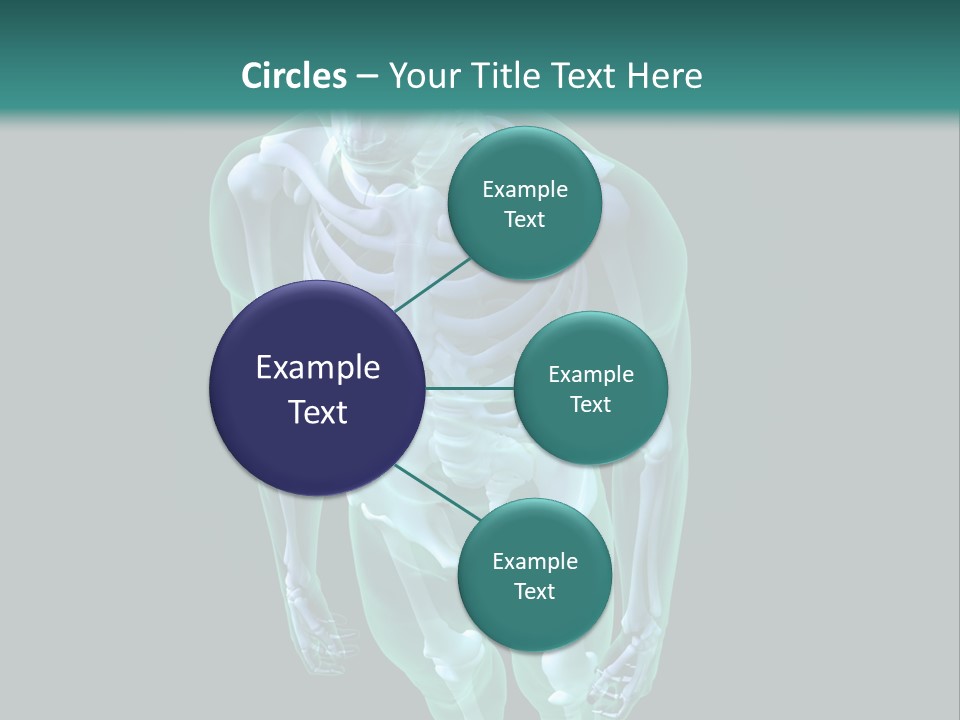 Education Graphic Medicine PowerPoint Template