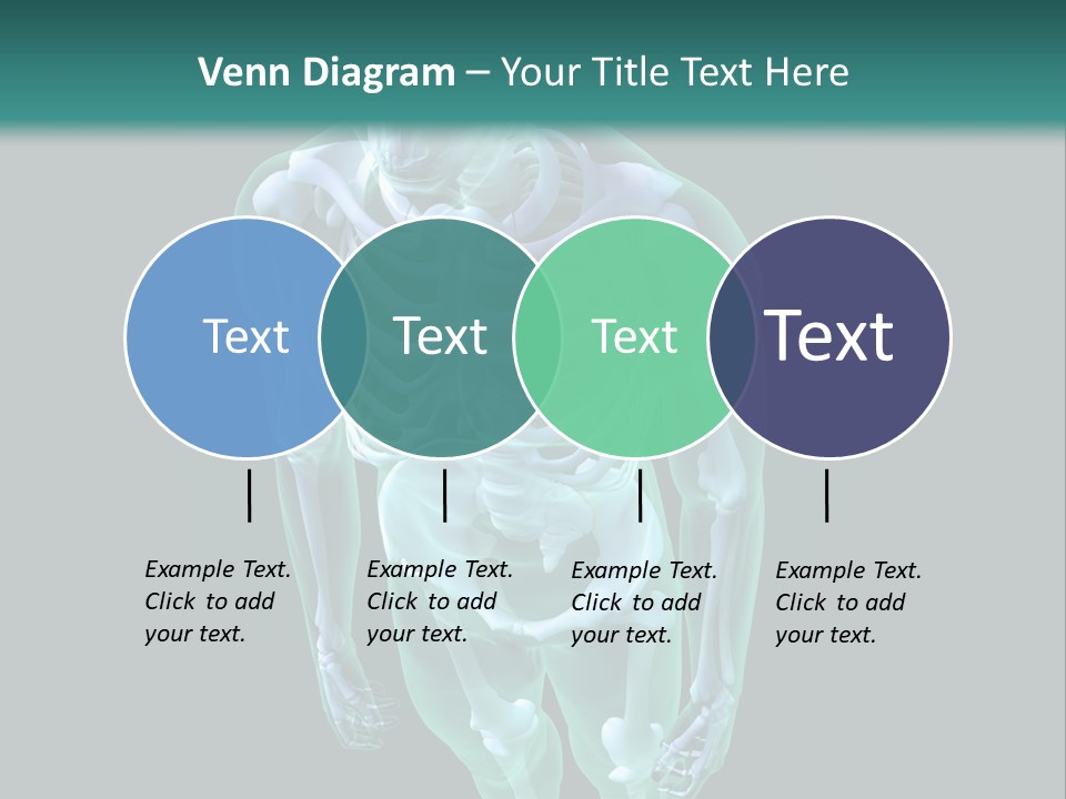 Education Graphic Medicine PowerPoint Template