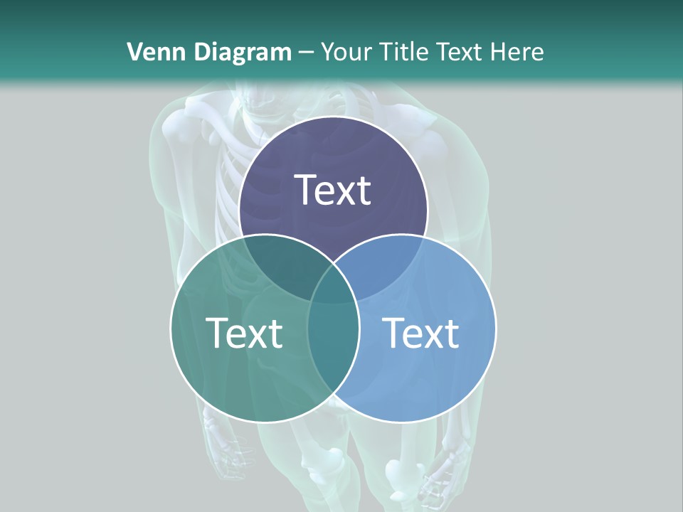 Education Graphic Medicine PowerPoint Template