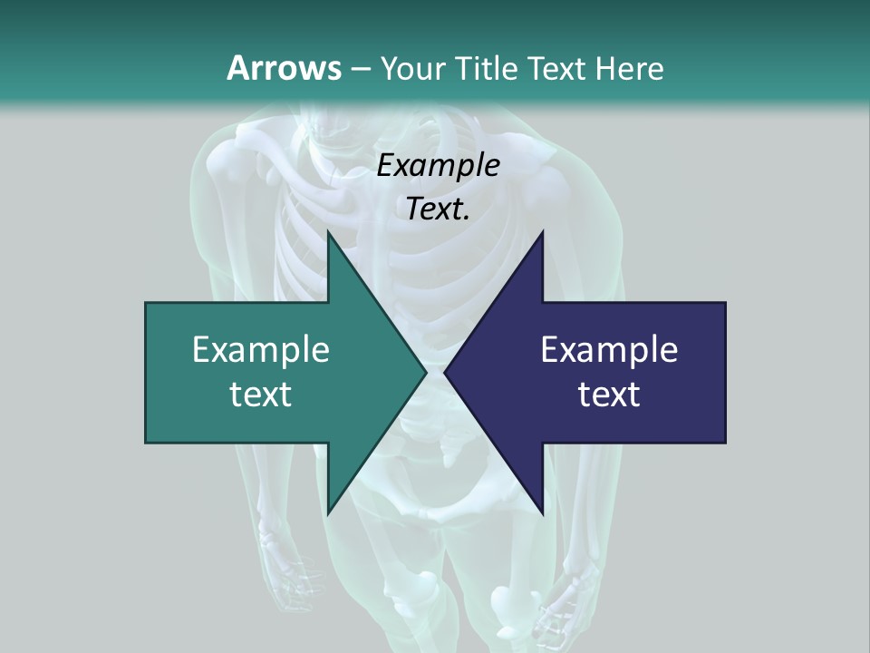Education Graphic Medicine PowerPoint Template