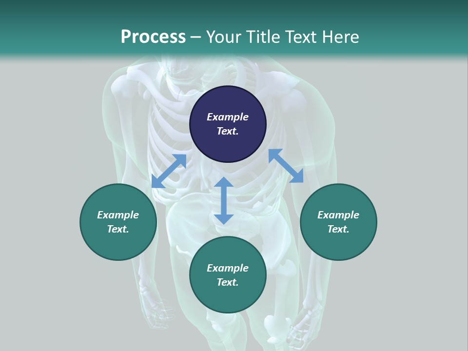 Education Graphic Medicine PowerPoint Template